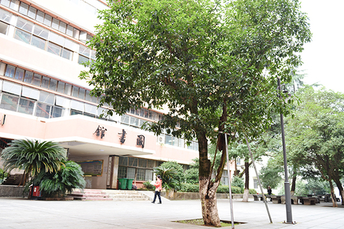 DSC_5791x' DSC_5791x'